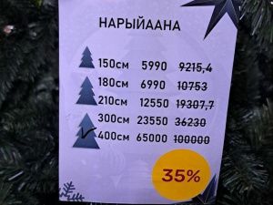 Обзор цен на искусственные ёлки в Якутске