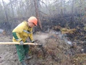 В Якутии за прошедшие сутки ликвидировано 38 лесных пожаров