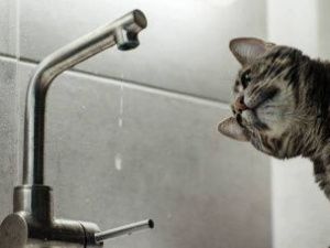 Вечером 18 августа по всему Якутску отключат воду