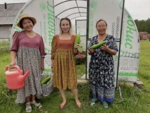 В Чурапчинском улусе начата реализация, выращенных овощей по программе «Сидя дома, занимайся семейной экономикой!»