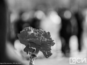 Минздрав Мособласти сообщил о гибели троих детей в результате теракта