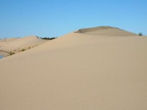 Пустыни на вечной мерзлоте