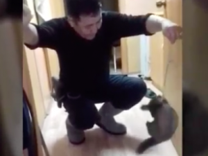 Видеофакт: В Якутии поймали и выходили раненого соболя