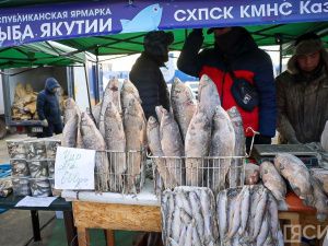 Море рыбы: Традиционная ярмарка развернулась на Комсомольской площади