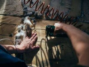 Эксперты установят причину массовой гибели рыбы в Усть-Майском улусе