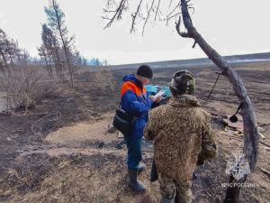 Лесные и ландшафтные пожары в Якутии: статистика, причины и меры реагирования