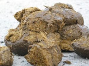 Чисто якутское убийство: Орудие преступления – балбах 