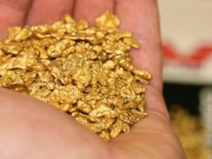 Пенсионерка из Якутии нашла в лесу более 5 кг золота