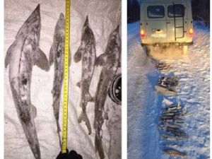 Якутский рыбак покончил с собой