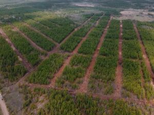 ВНИМАНИЕ: В Якутске состоится распределение земельных участков многодетным семьям
