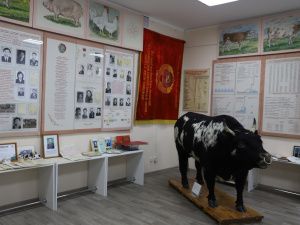 Музею племенного животноводства Якутии присвоено имя Марии Георгиевны Маппыровой