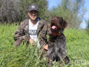 Испытания подружейных собак стартуют завтра на зелёном лугу возле Якутска