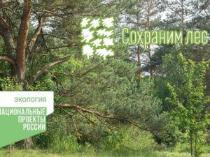 В Якутии  стартует ежегодная Всероссийская акция «Сохраним лес»