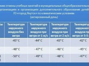В Якутске — минус 49. Отменены занятия в школах для учеников 1-8 классов