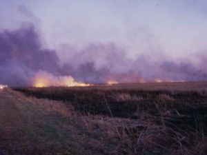 Возможно задымление в Усть-Майском и Мирнинском районах