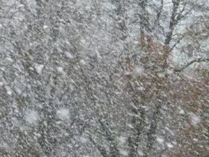 В Якутске выпадет снег