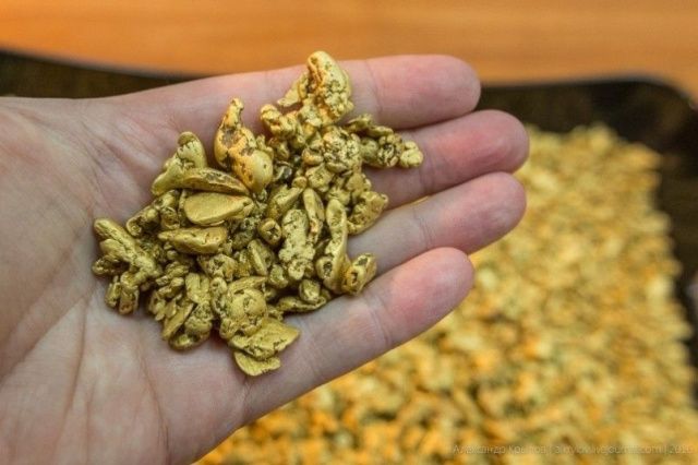 Подробно: Жители Ингушетии похитили, пытали и убили водителя, которому доверили перевозку самородного золота