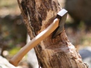 В Якутии осужден «черный лесоруб»