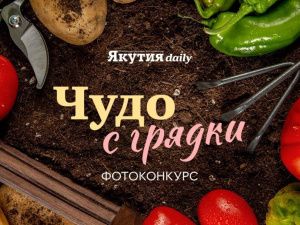 Успейте до 27 сентября: участвуйте в конкурсе «Чудо с грядки» и выиграйте ценные призы