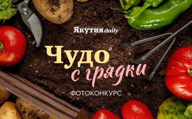 Успейте до 27 сентября: участвуйте в конкурсе «Чудо с грядки» и выиграйте ценные призы