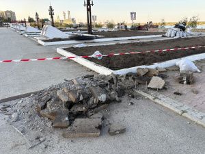 На площади Победы планируется высадка 33 елей