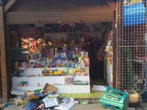 Группа подростков ограбила киоски в Городском парке Якутска