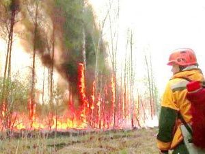 Депутаты Районных советов принимают активное участие при тушении пожаров