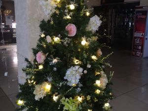 Время творить чудеса