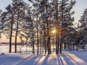 В юго-восточных районах Якутии март будет холодным