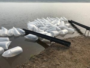 В 2024 году Чернышевский рыбоводный завод выпустит более 26,5 млн личинок рыбы