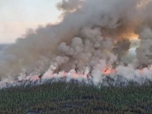 Из-за гроз лесных пожаров особенно много в труднодоступных местах