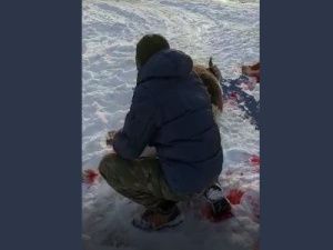 Минсельхоз Якутии: Мясо утонувших коров в продажу не поступит