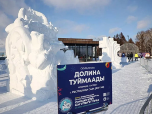 Гран-при уезжает в Якутию: в Новосибирске прошел фестиваль снежной скульптуры