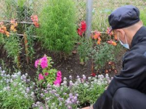 В учреждениях продолжаются работы по благоустройству территорий