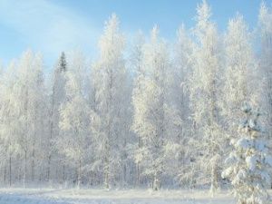 В Горном районе Якутии аномально холодная погода побила рекорд 1963 года