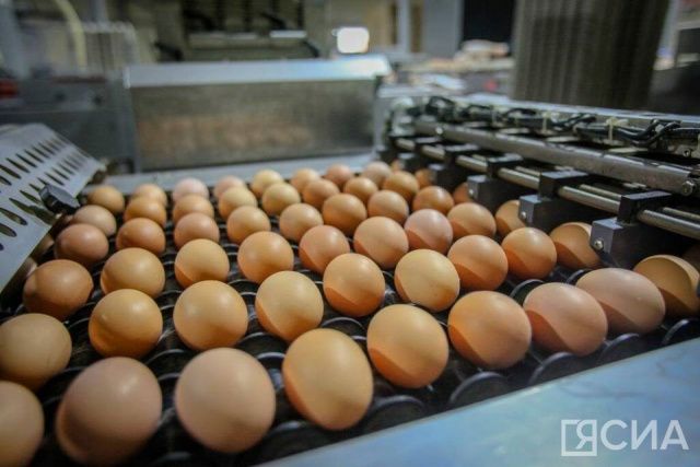 В Россию ввезли первую партию яиц из Азербайджана