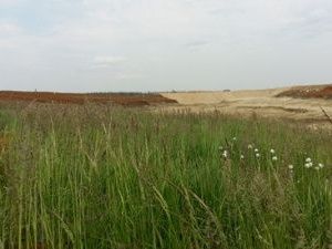 Новый способ оценки почв поможет в рекультивации земель