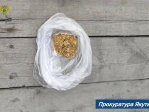 Житель Якутии лишился автомобиля и золота на 3,6 млн рублей за незаконный оборот драгметаллов