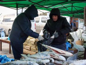 Море рыбы: Традиционная ярмарка развернулась на Комсомольской площади