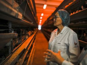 Сардана Авксентьева посетила предприятия пищевой промышленности Якутска