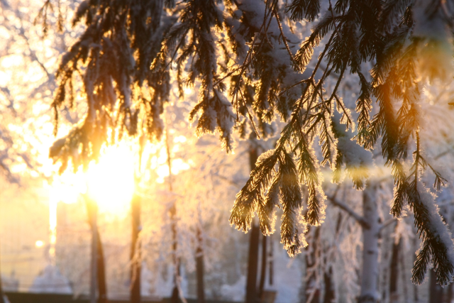 В Черском в разгар зимы температура днем составила плюс 3 градуса!