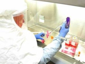 В Новосибирск направлены анализы трех якутян