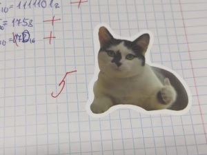 Якутская учительница с котонаклейками: «Креативность и творчество нужны в школе»