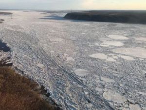 Ледоход на реке Лена выходит в устье