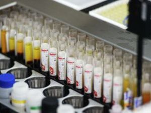 Якутия оказалась в лидерах по заболеваемости вирусным гепатитом