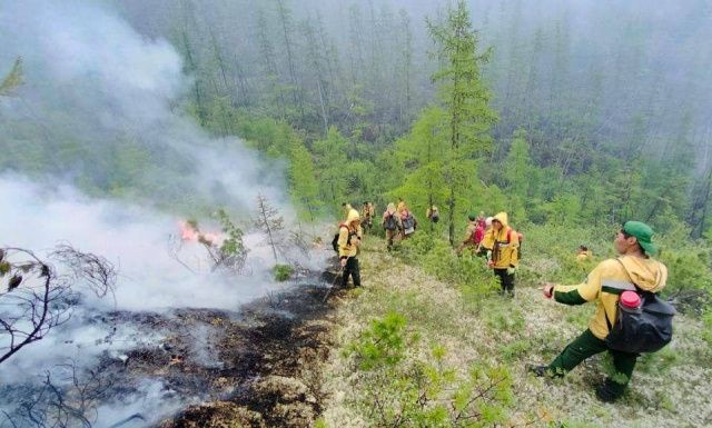 В Якутии за сутки потушили двадцать лесных пожаров