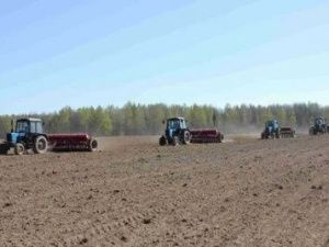 В Чурапчинском улусе завершаются весенне-полевые работы