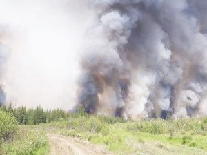 Ил Дархан объявил ЧС межмуниципального характера в Верхоянском и Момском улусах