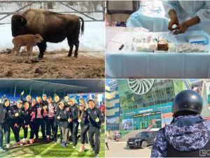 Что произошло в Якутии 22 апреля: обзор событий за день