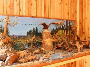 В исправительной колонии № 1 после ремонта открылась комната Арчы